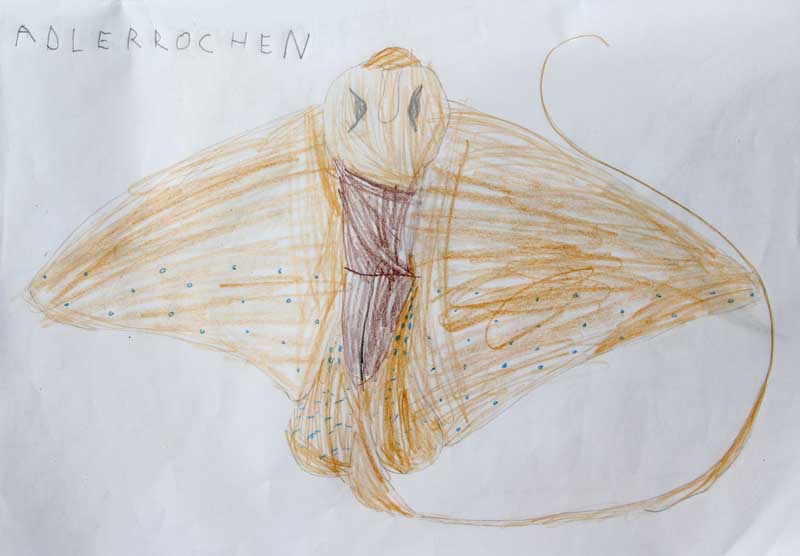 Adlerrochen